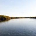 BWA NW OkavangoDelta 2016DEC01 Nguma 059 : 2016, 2016 - African Adventures, Africa, Botswana, Date, December, Month, Ngamiland, Nguma, Northwest, Okavango Delta, Places, Southern, Trips, Year